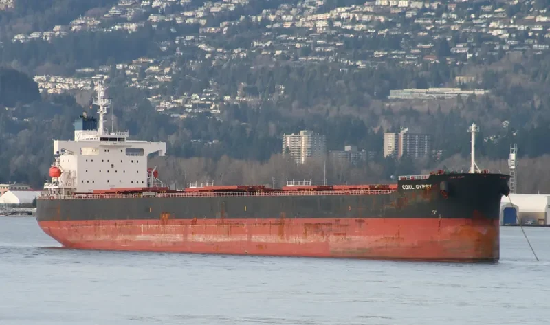 STAR RENEE Bulk Carrier IMO 9328948 photo 6