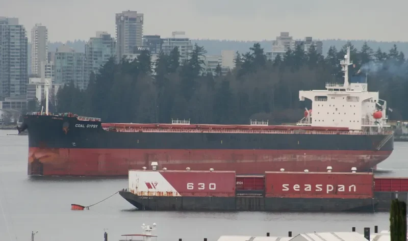 STAR RENEE Bulk Carrier IMO 9328948 photo 8