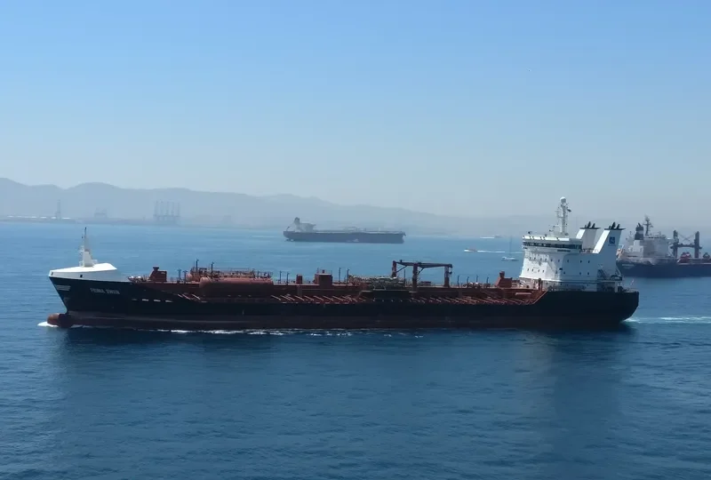 FIONIA SWAN Tanker IMO 9328974 photo 6