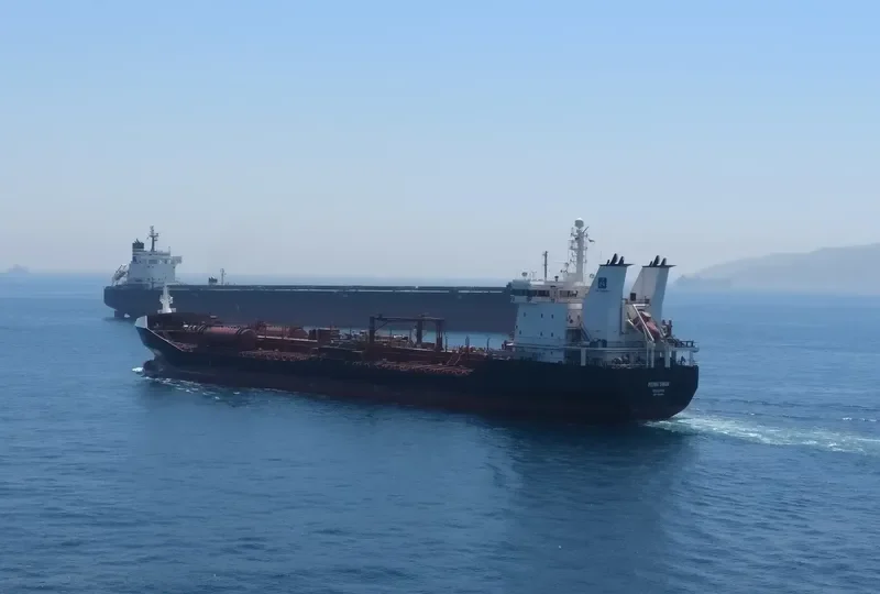FIONIA SWAN Tanker IMO 9328974 photo 8