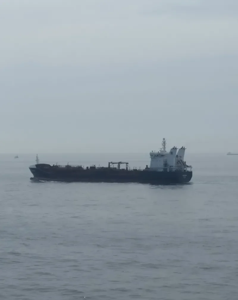 FIONIA SWAN Tanker IMO 9328974 photo 10