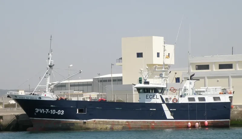 PEDRA DA GRELO General Cargo IMO 9329083 photo 6