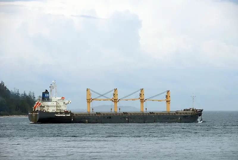HTK NEPTUNE Bulk Carrier IMO 9329411 photo 10