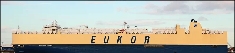 MORNING CELLO General Cargo IMO 9329461