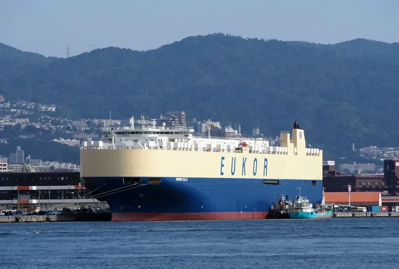 MORNING CELLO General Cargo IMO 9329461 photo 3