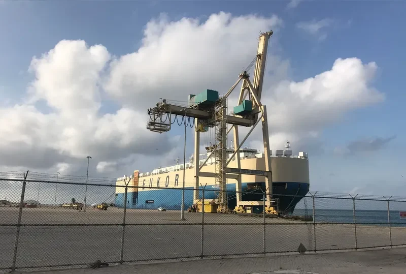 MORNING CELLO General Cargo IMO 9329461 photo 5