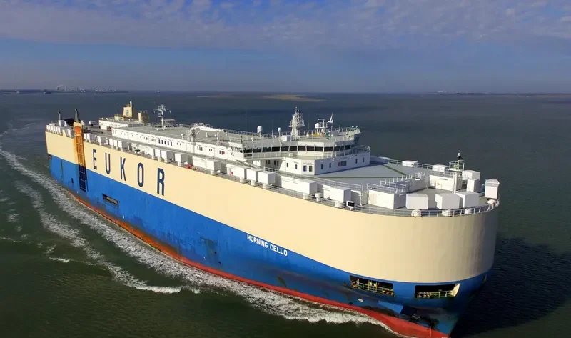 MORNING CELLO General Cargo IMO 9329461 photo 6
