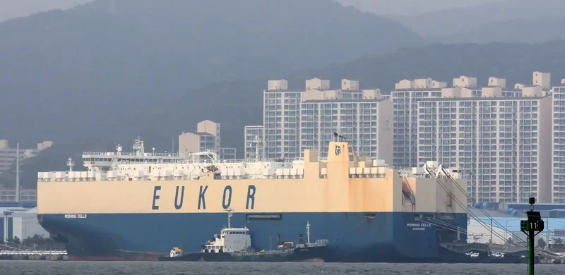 MORNING CELLO General Cargo IMO 9329461 photo 8