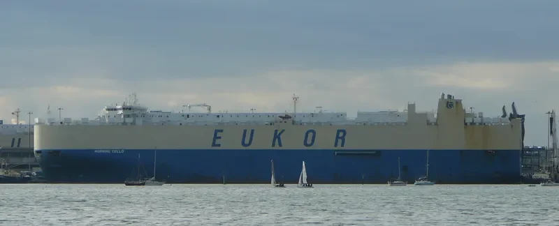 MORNING CELLO General Cargo IMO 9329461 photo 9