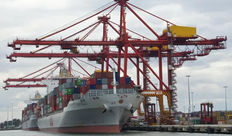 OOCL TEXAS Container Ship IMO 9329552 photo 7