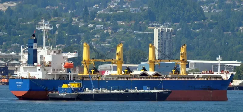 ATALANTI SB Bulk Carrier IMO 9329813 photo 5