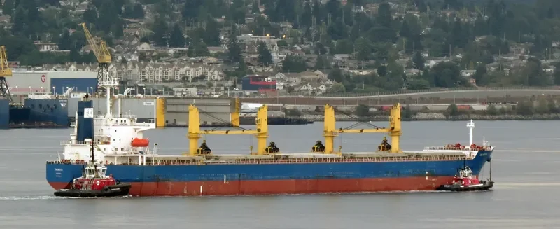 ATALANTI SB Bulk Carrier IMO 9329813 photo 9