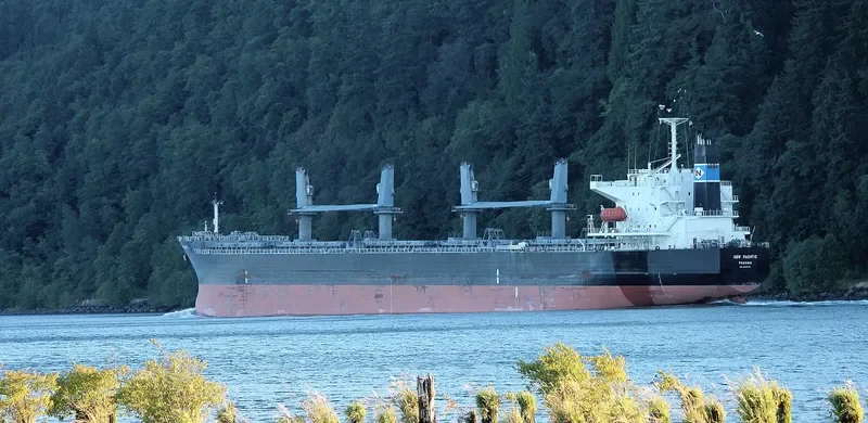 LUMOSO LESTARI Bulk Carrier IMO 9329825