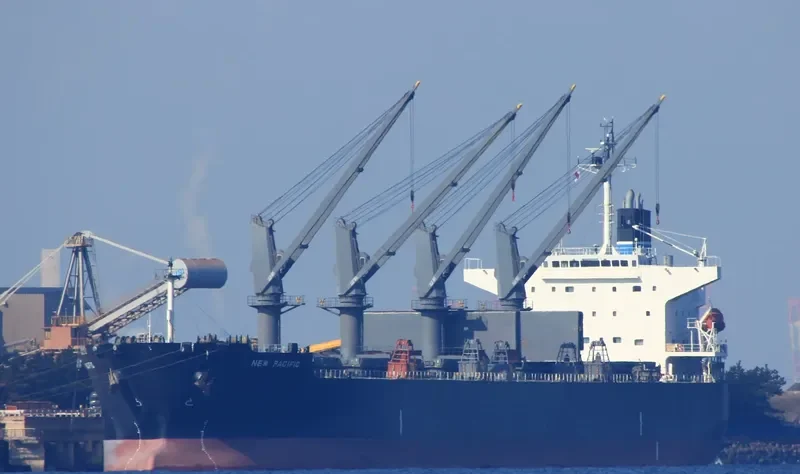 LUMOSO LESTARI Bulk Carrier IMO 9329825 photo 3
