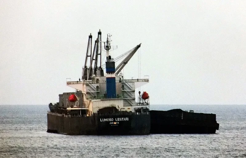 LUMOSO LESTARI Bulk Carrier IMO 9329825 photo 10