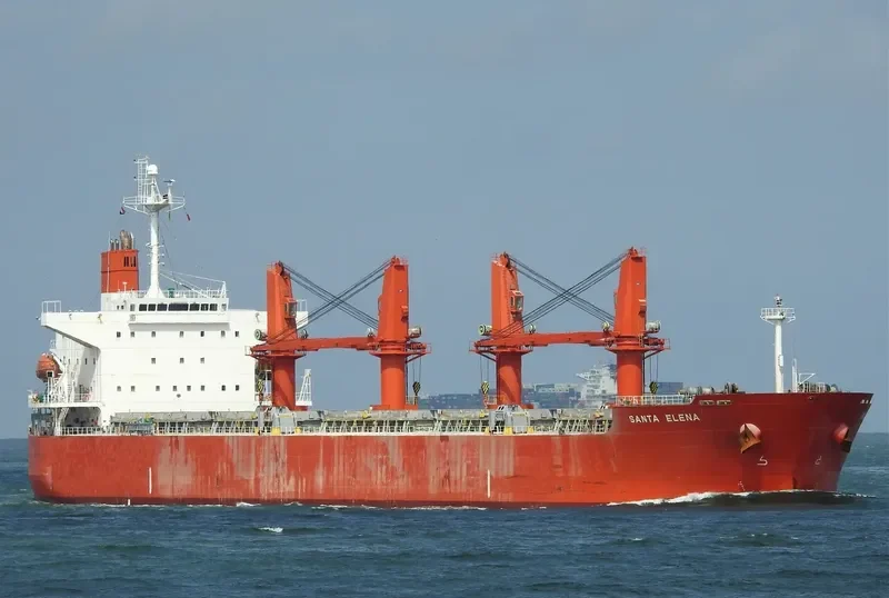 ABDUL HAMID Bulk Carrier IMO 9329837 photo 2