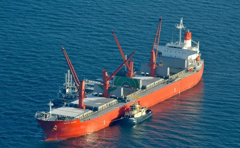 ABDUL HAMID Bulk Carrier IMO 9329837 photo 3
