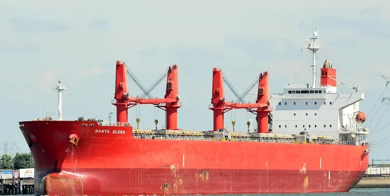 ABDUL HAMID Bulk Carrier IMO 9329837 photo 8