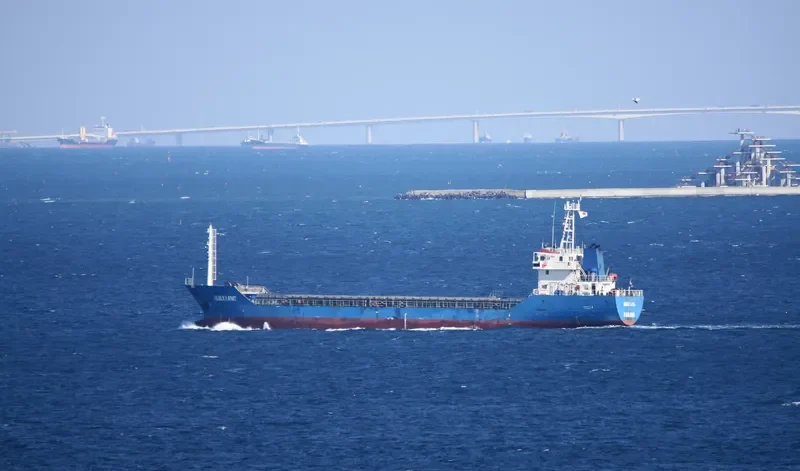HUAXIANG Bulk Carrier IMO 9330018 photo 10