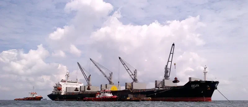 VIET THUAN OCEAN Bulk Carrier IMO 9330094 photo 3