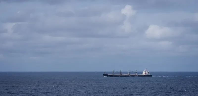 VIET THUAN OCEAN Bulk Carrier IMO 9330094 photo 5