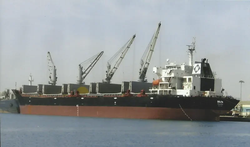 VIET THUAN OCEAN Bulk Carrier IMO 9330094 photo 6