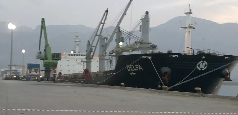 VIET THUAN OCEAN Bulk Carrier IMO 9330094 photo 7