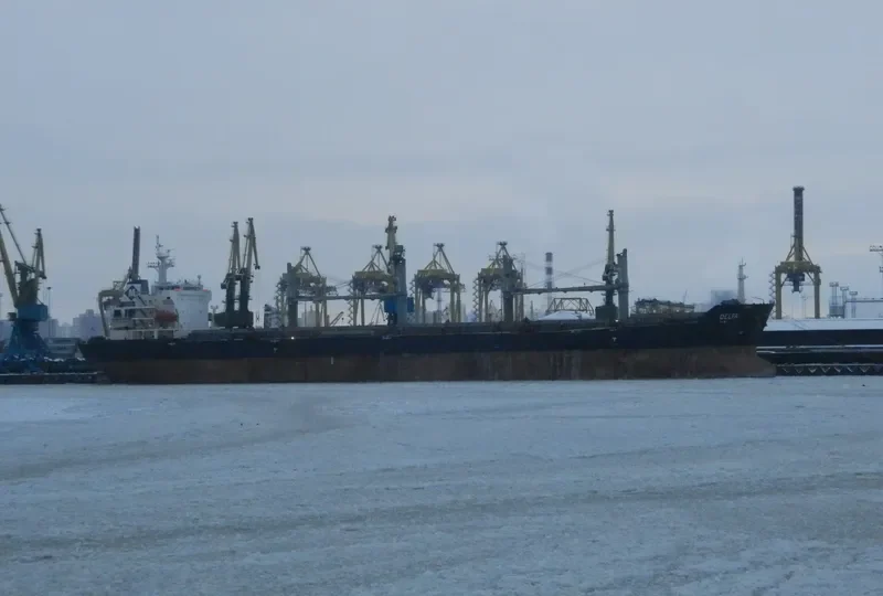 VIET THUAN OCEAN Bulk Carrier IMO 9330094 photo 8