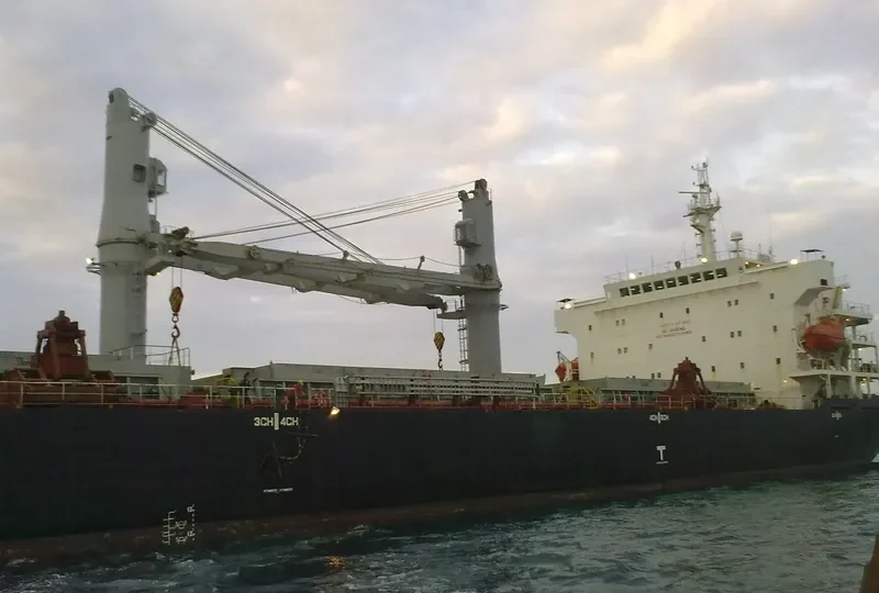VIET THUAN OCEAN Bulk Carrier IMO 9330094 photo 10