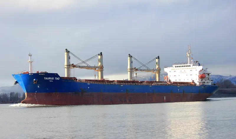 VAN AUSPICIOUS Bulk Carrier IMO 9330111 photo 3