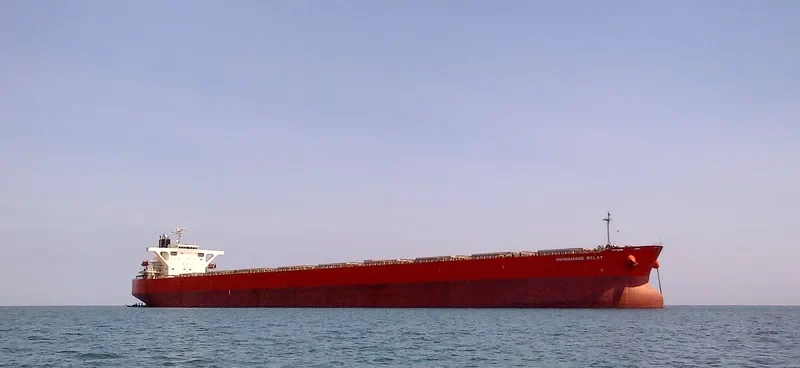 XYG FORTUNE Bulk Carrier IMO 9330290