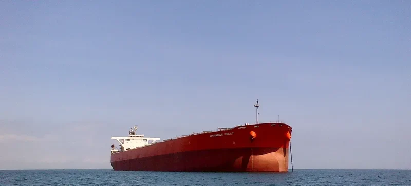 XYG FORTUNE Bulk Carrier IMO 9330290 photo 5