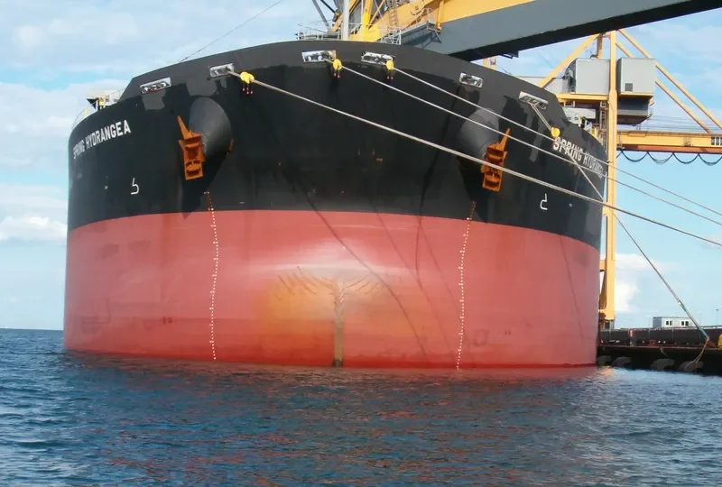 XYG FORTUNE Bulk Carrier IMO 9330290 photo 6