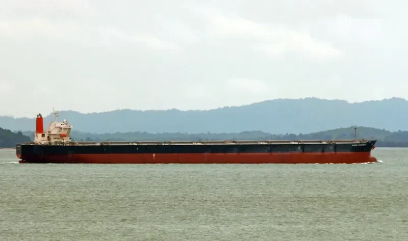 XYG FORTUNE Bulk Carrier IMO 9330290 photo 7