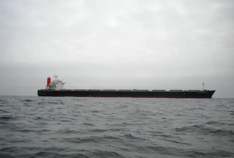 XYG FORTUNE Bulk Carrier IMO 9330290 photo 10