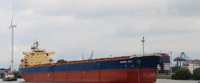 OMICRON SKY Bulk Carrier IMO 9330329 photo 3