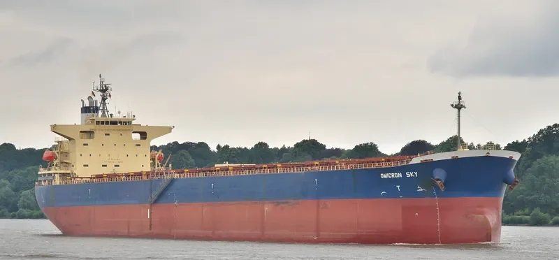 OMICRON SKY Bulk Carrier IMO 9330329 photo 6