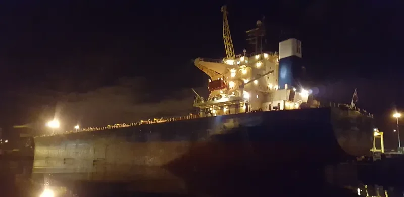 OMICRON SKY Bulk Carrier IMO 9330329 photo 8