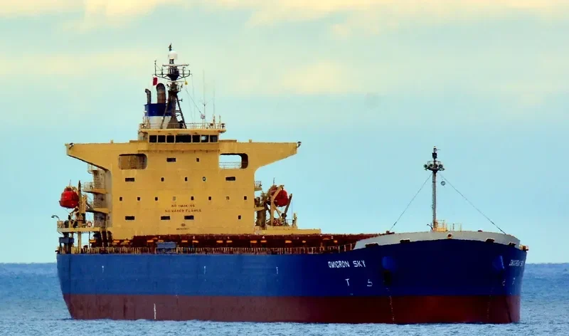 OMICRON SKY Bulk Carrier IMO 9330329 photo 10