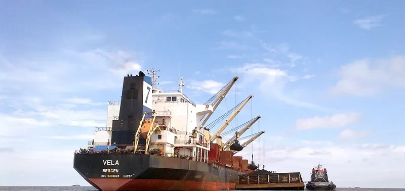 VELA Bulk Carrier IMO 9330628 photo 3