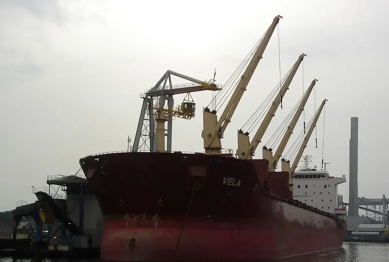 VELA Bulk Carrier IMO 9330628 photo 6