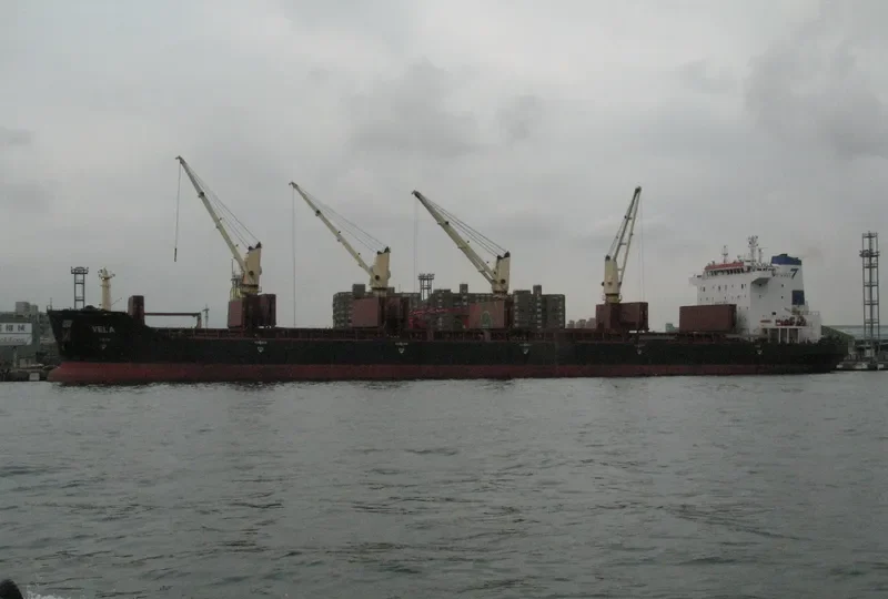 VELA Bulk Carrier IMO 9330628 photo 7