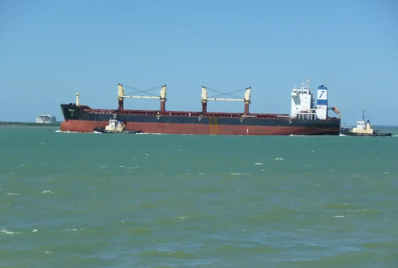 VELA Bulk Carrier IMO 9330628 photo 8