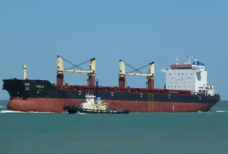 VELA Bulk Carrier IMO 9330628 photo 9