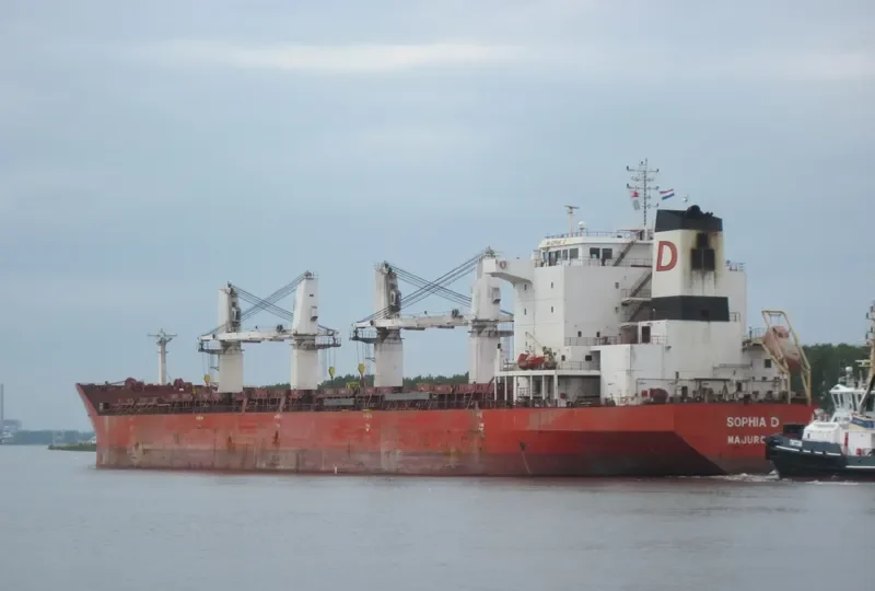 ENDEAVOR Bulk Carrier IMO 9330642 photo 16