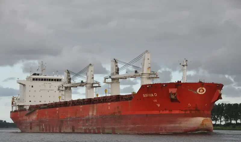 ENDEAVOR Bulk Carrier IMO 9330642 photo 40