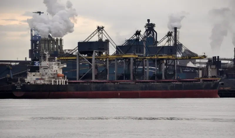 W RAPTOR Bulk Carrier IMO 9330812 photo 4