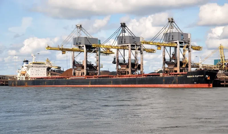 W RAPTOR Bulk Carrier IMO 9330812 photo 6