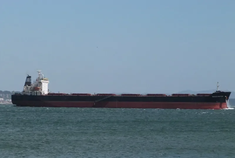 W RAPTOR Bulk Carrier IMO 9330812 photo 7
