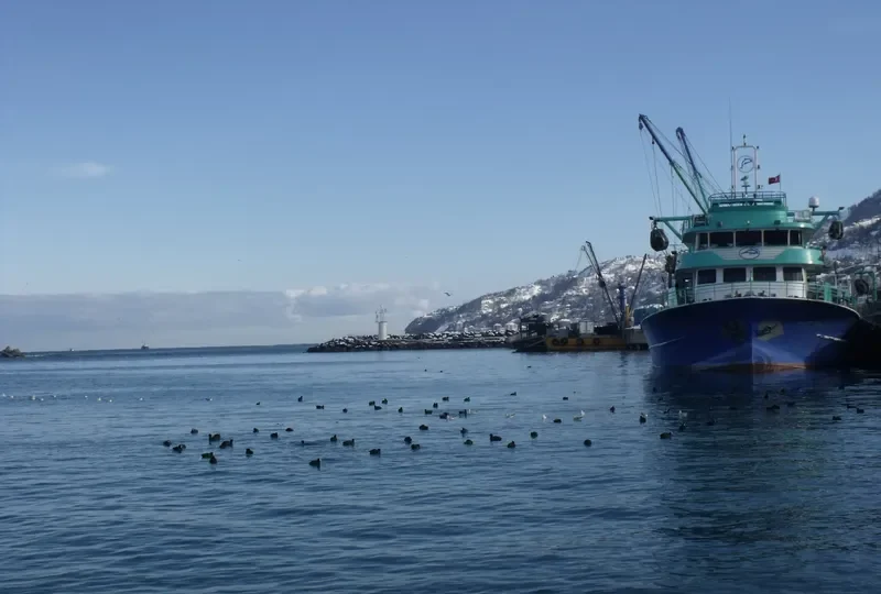 HACI KIBAR General Cargo IMO 9331024